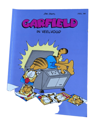 Garfield in veelvoud (98)