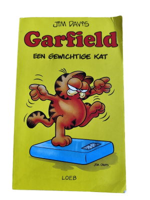 Garfield Pocket 6 - Een gewichtige kat