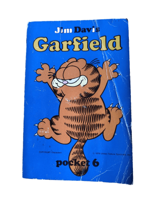 Garfield Pocket (6)